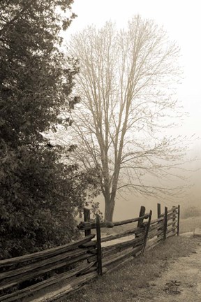 Framed Early Morning II Print