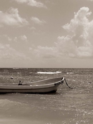 Framed Solitude II Print