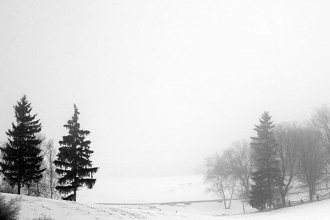 Framed Contrast Print