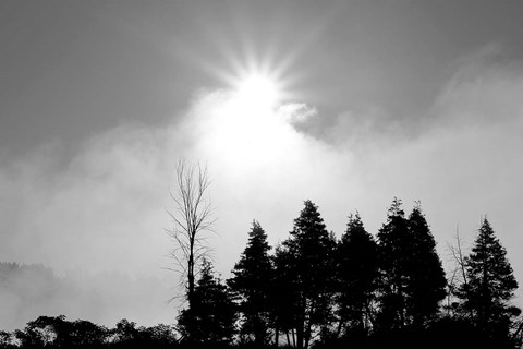 Framed Sunfire Print