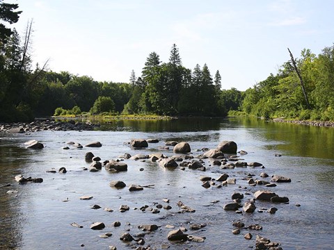 Framed Chippewa Summer I Print