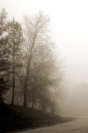 Framed Early Morning III Print