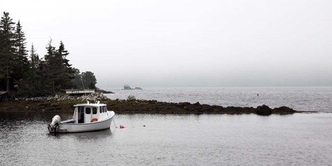 Framed Ocean Side II Print