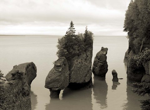 Framed Tides In Print