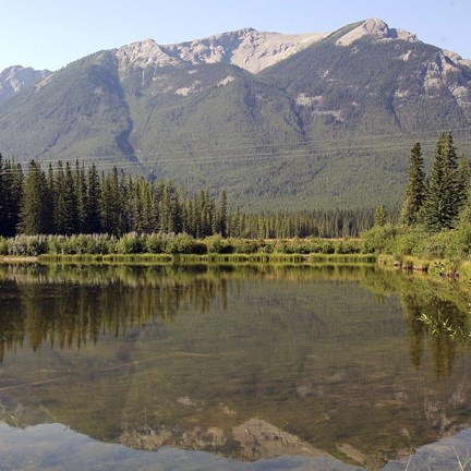 Framed Reflections II Print