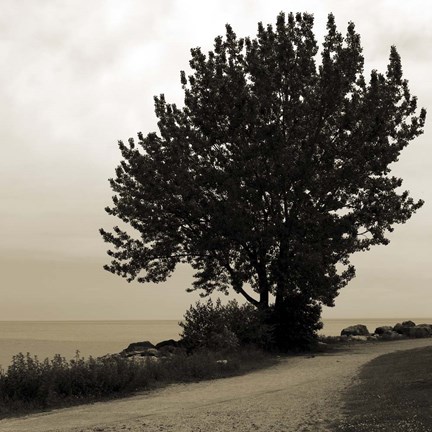 Framed Silhouette I Print