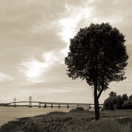 Framed Silhouette II Print