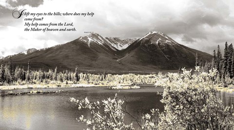 Framed Serenity Print