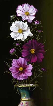 Framed Four Cosmos Print