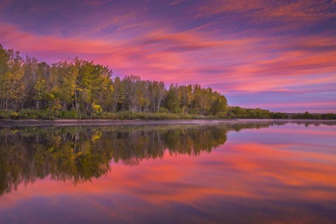Framed Autumn Splendor Print