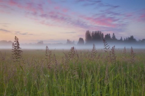 Framed Battle Ground Sunrise Print