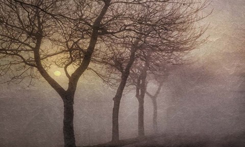 Framed Early Morning Print