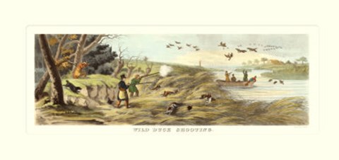 Framed Wild Duck Shooting Print