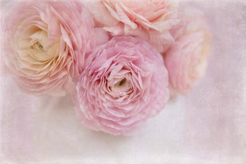 Framed Chique Bouquet Print