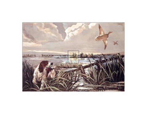 Framed Flight Print