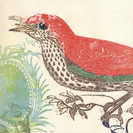 Framed Red Bird Print