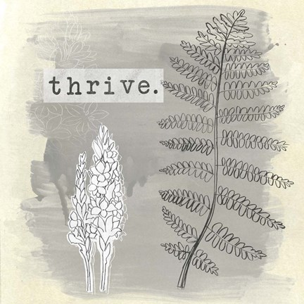 Framed Garden Scrapbook II Print