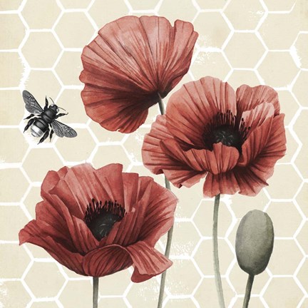 Framed Poppy Buzz I Print