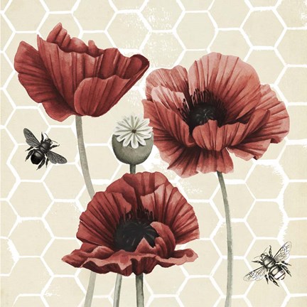 Framed Poppy Buzz II Print