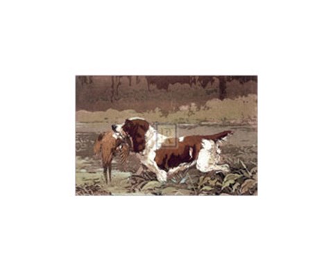 Framed Springer and Pheasant (Small) Print