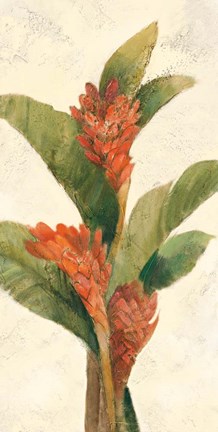 Framed Ginger Blossom on White Print