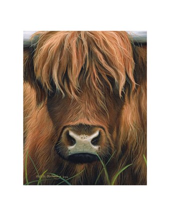 Framed Cow Portrait Print