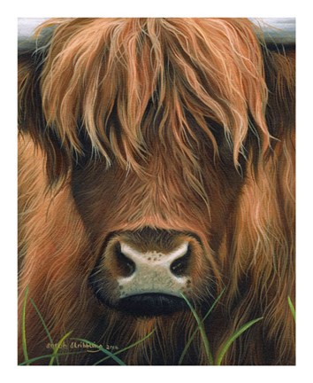 Framed Cow Portrait Print