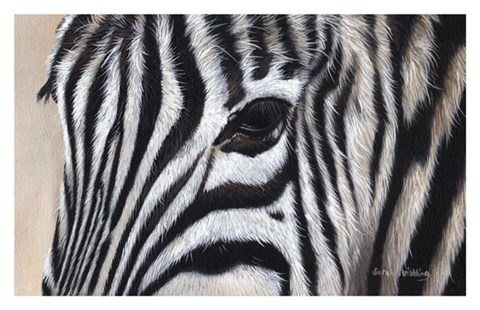 Framed Zebra Eyes Print