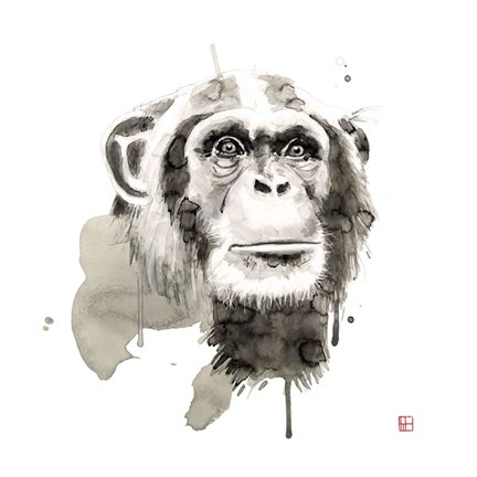 Framed Chimp Print