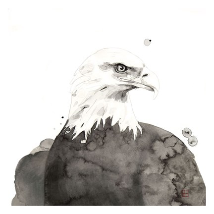 Framed Eagle Print