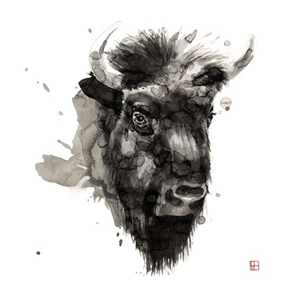 Framed Buffalo Print