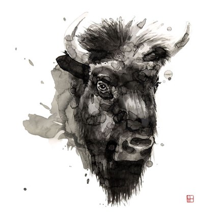 Framed Buffalo Print