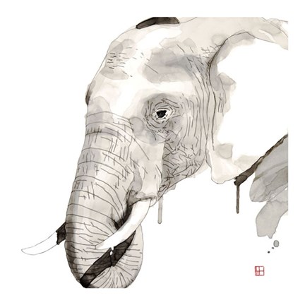 Framed Elephant Print