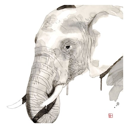 Framed Elephant Print