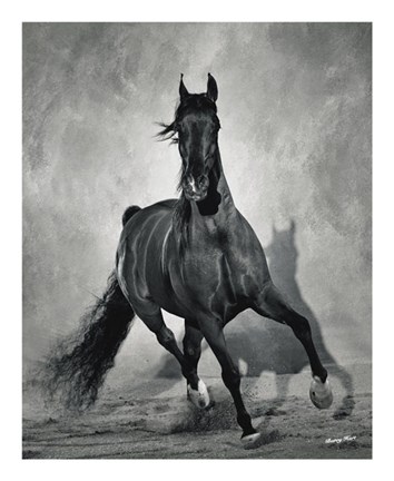 Framed Struttin His Stuff Print