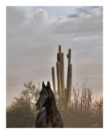 Framed Serendipity Print