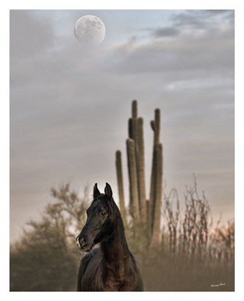 Framed Serendipity Print