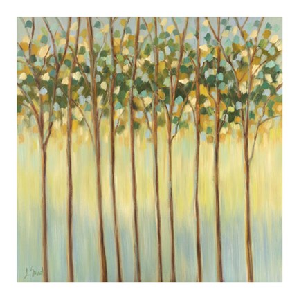 Framed Awakening Tree Tops Print
