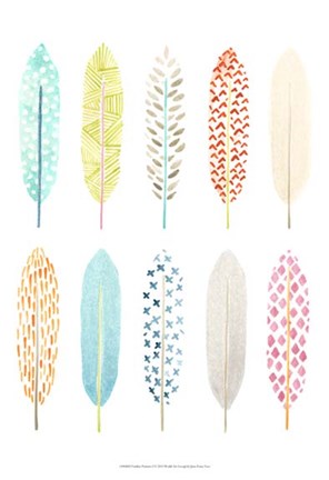 Framed Feather Patterns I Print