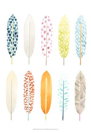 Framed Feather Patterns II Print