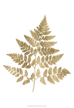 Framed Graphic Gold Fern I Print