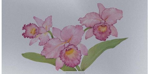 Framed Exotic Flowers I Print