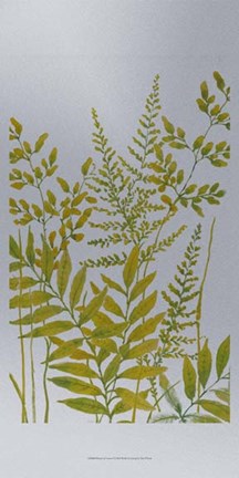 Framed Pattern of Leaves I Print