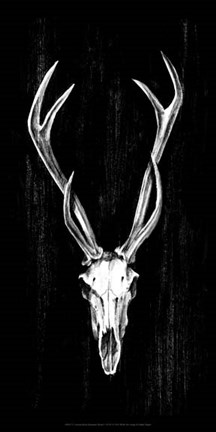 Framed Rustic European Mount I Print