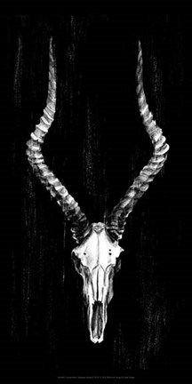 Framed Rustic European Mount II Print