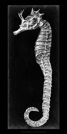 Framed Seahorse Blueprint I Print