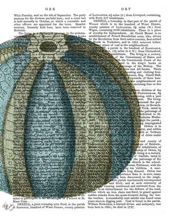 Framed Blue Corals and Sea Urchins I Print