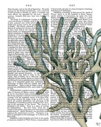 Framed Blue Corals and Sea Urchins III Print