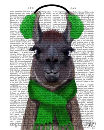 Framed Chilly Llama, Green Print