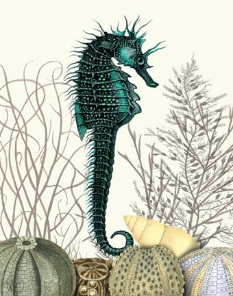 Framed SeaHorse and Sea Urchins Print